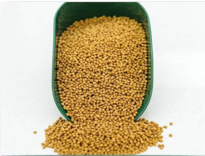 Fish Feed