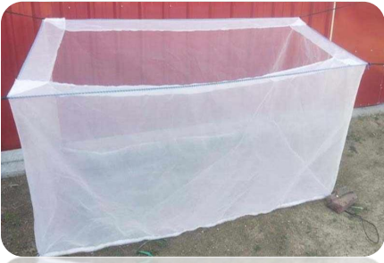 Aquaculture Inputs